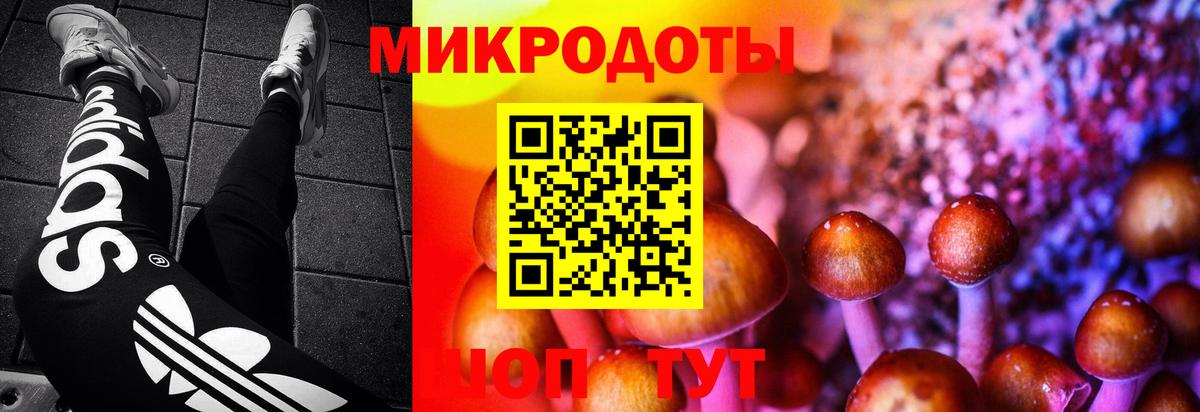 Псилоцибиновые грибы ЛСД Волгодонск
